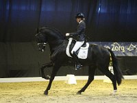 Desperado 201113_1577